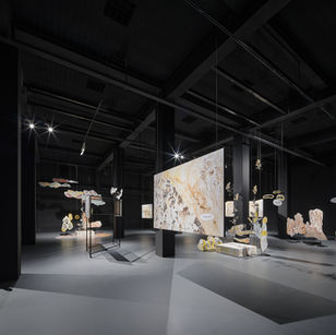 2025/05 - 2025/10 Solo Exhibition: Groundless Flower