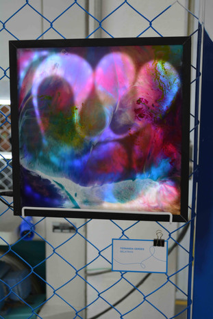 Exposição na Belas Artes