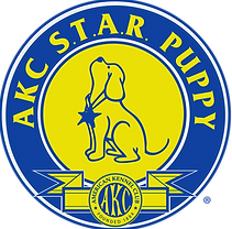 AKC Star Puppy_edited.png