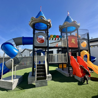 Dog playground at springfield's top luxury dog boarding provider