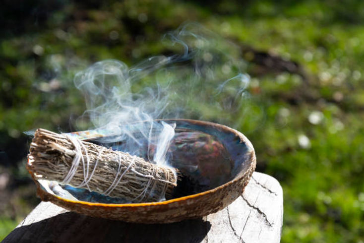 istockphoto-1465427841-612x612.jpg