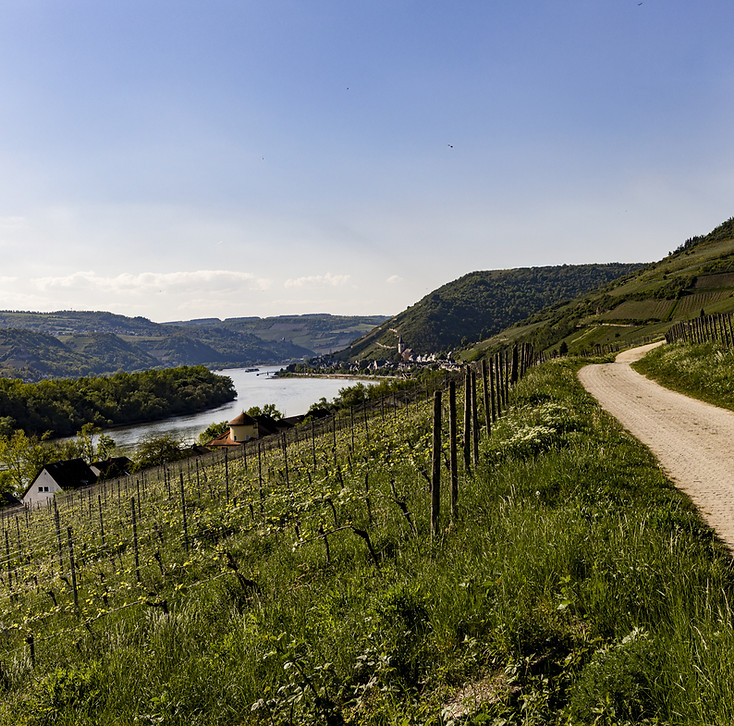 Weingut Graf von Kanitz
