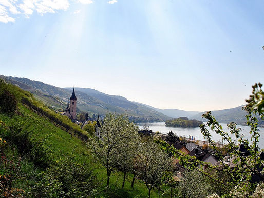 Oster-Weinwanderung