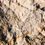 Thumbnail: Lorcher Riesling Quarzit feinherb