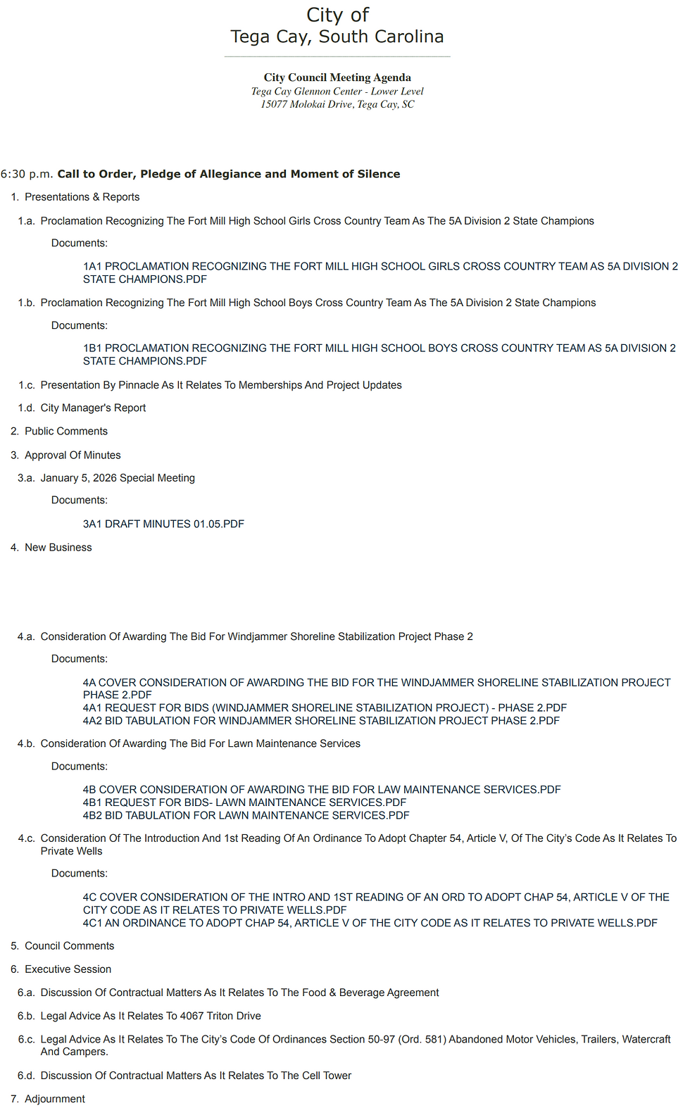 Tega Cay City Council Meeting