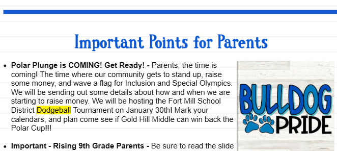 FMSD Dodgeball Tournament