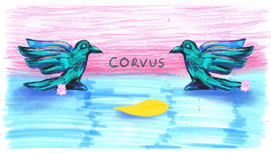 Watch our 48-hour animation, Corvus!