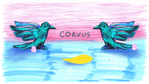 Watch our 48-hour animation, Corvus!