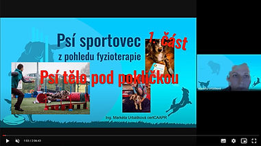 w psi sportovec 1 cast.jpg
