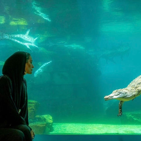 Woman in black staring at crocodile inside aquarium tank Dubai DOO