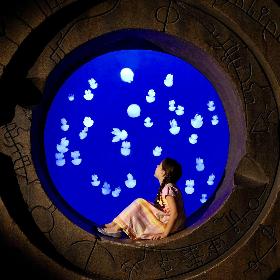 Lost Chambers Aquarium – glowing jellyfish display at Atlantis Dubai