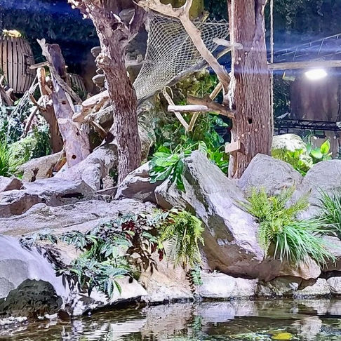 Penguin Cove display area inside the Underwater Zoo, Dubai Mall