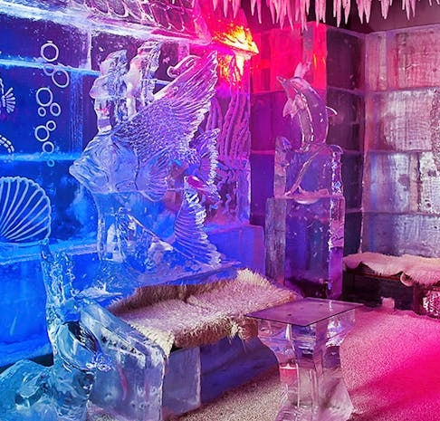 Artistic ice sculptures with colorful lights and dolphin figures inside the venue.