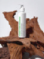Thumbnail: Purifying Mousse