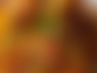 Pain perdu, poêlée de fruits de saison