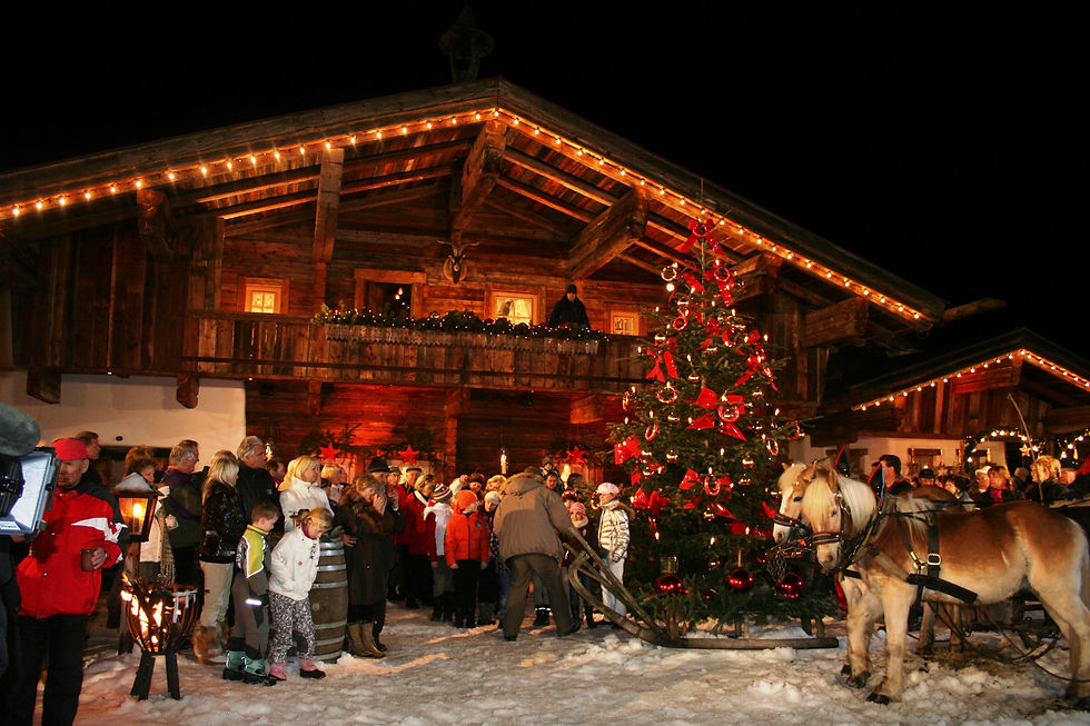 Alm 7 (1).JPG