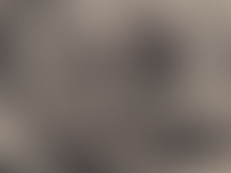 The Wolf and the Crane