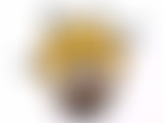 shoot myself in the foot, 我有点努力大劲了给搞砸了~~