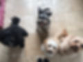 fullsizeoutput_7809.jpeg