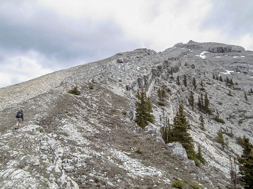 Mount Lawrence Grassi in Canmore, Alberta.