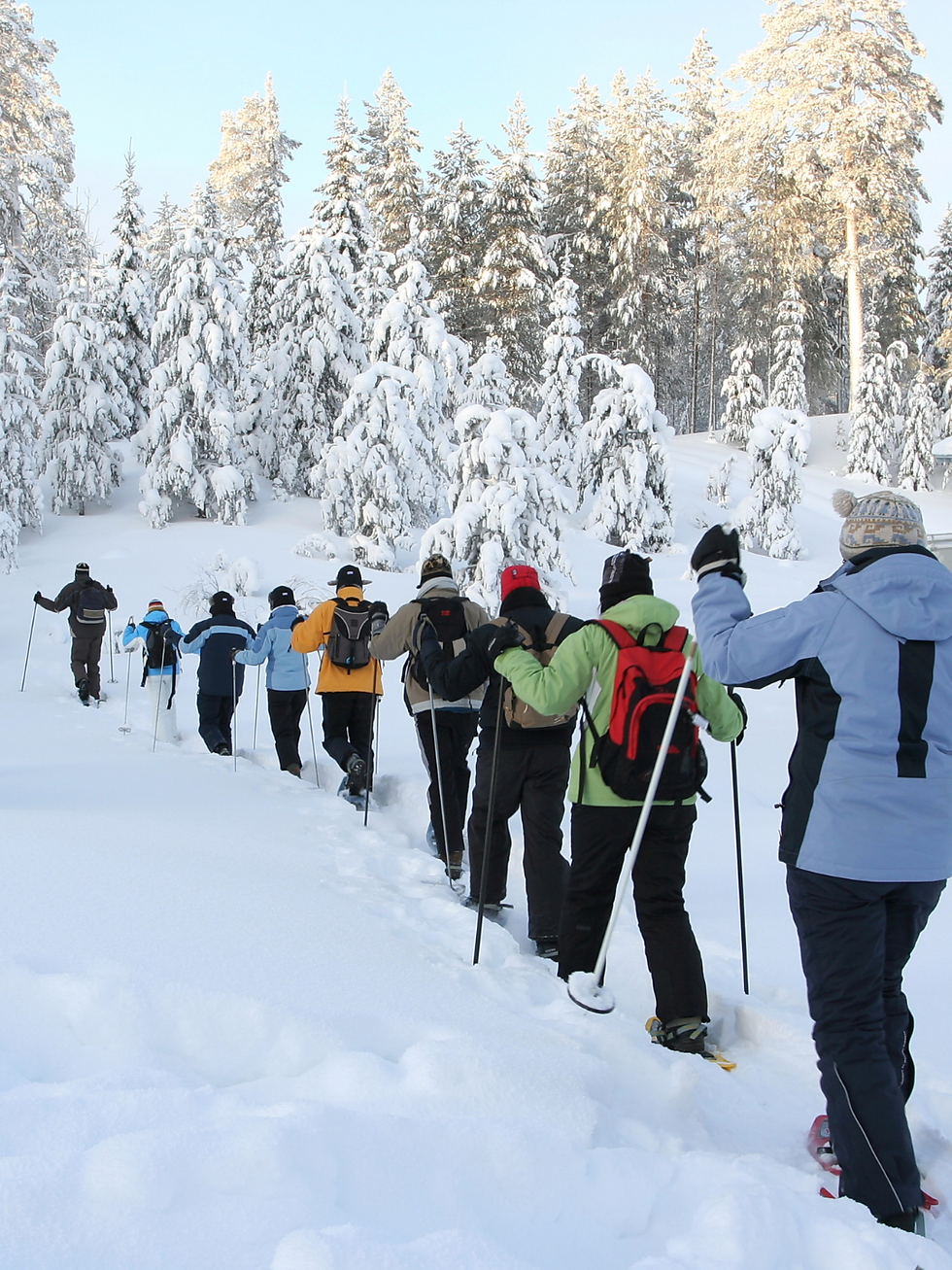 Snowshoeing in Canmore