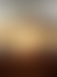 Du 11 au 15 août inclus - Congés annuels