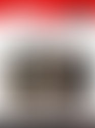 23 avril - Dégustation de vins italiens