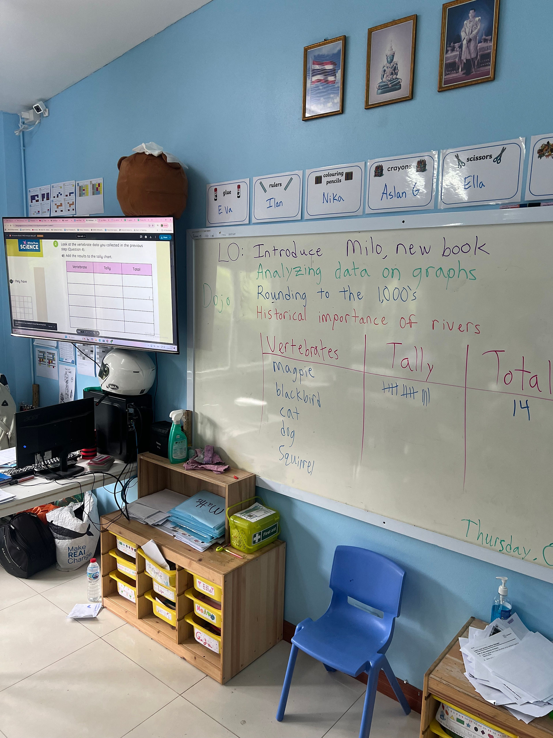 students analysing data