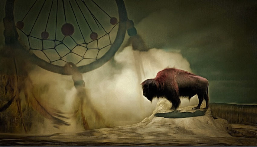 Shamanic Teacher Training