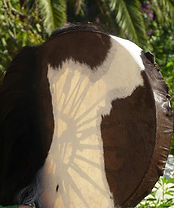 Shamanic Drumming Practitioner.jpg