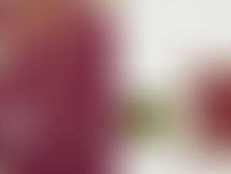 סבא של אילנה היה שען