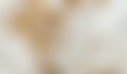 גרמנים, או איך ללמוד להתנצל.