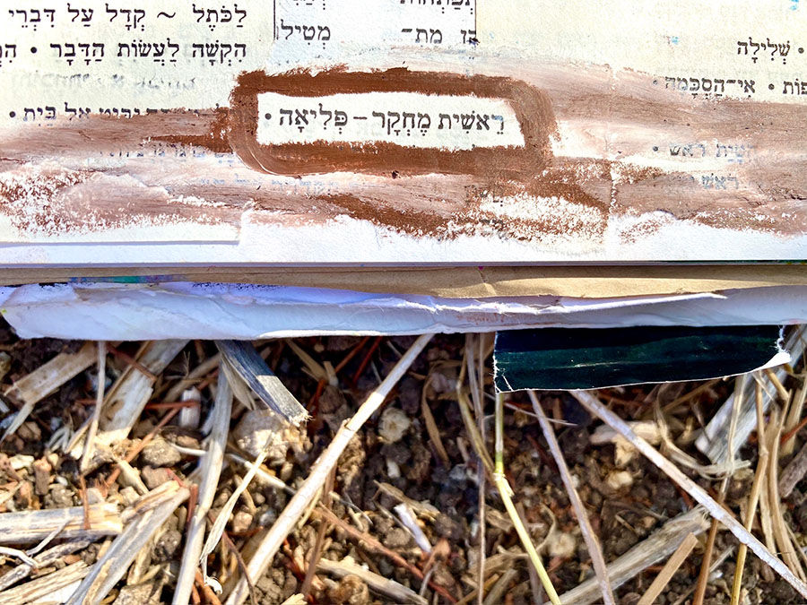 צילום מתוך יומן ויזואלי שיצרתי ב- 2021, הנחתי אותו לרגע על האדמה בואדי בטבעון. בסדנאות יומן שאני מנחה בסטודיו הדבר שהכי משמח אותי בעולם זה לקבל תמונות ממשתתפות שלקחו את היומן שלהן איתן ויצרו בו כמה דקות איפה שהן לא היו...