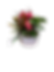 Thumbnail: Love Grows