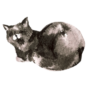 Watercolor Cat 6