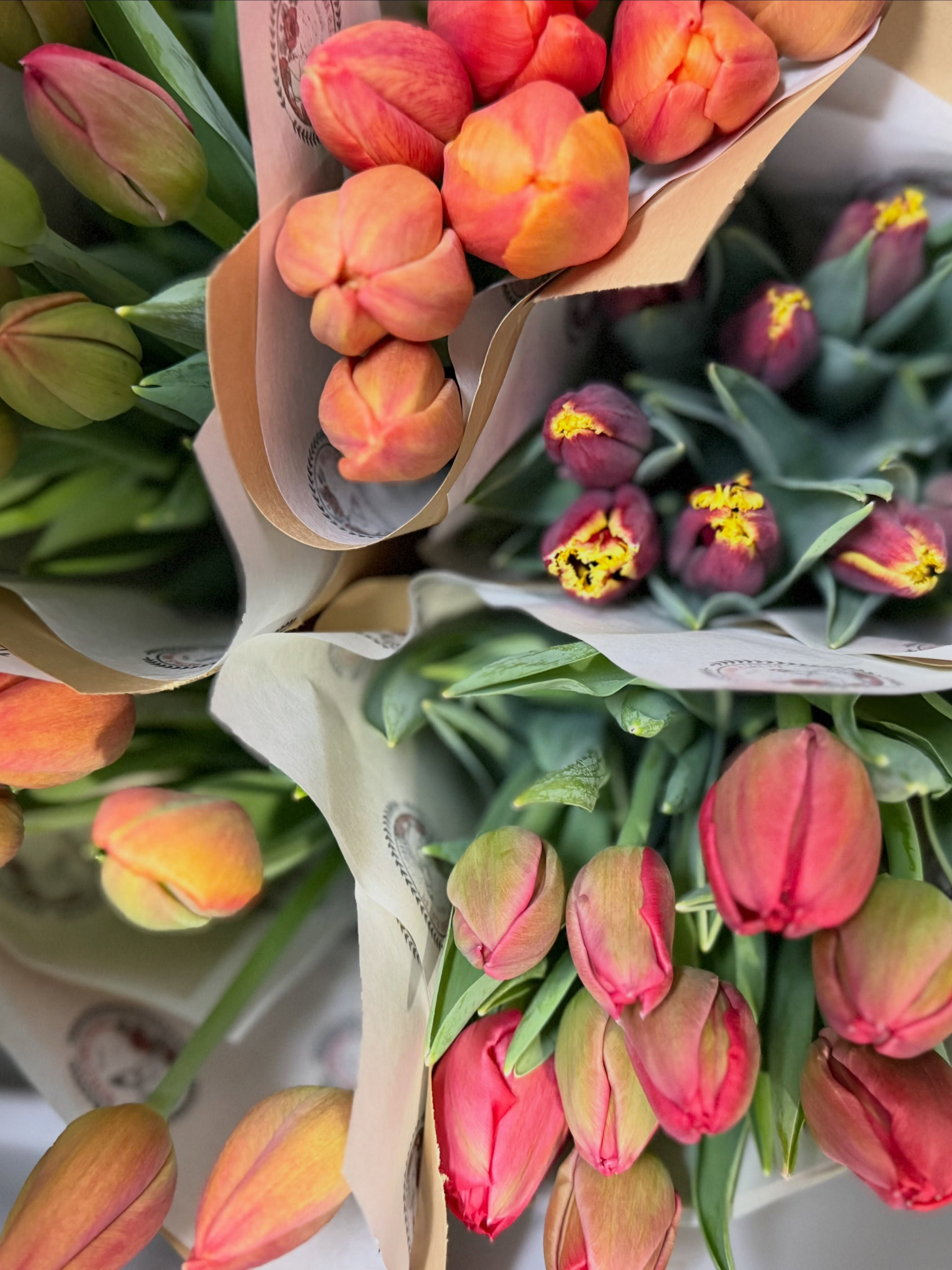 12 Week TULIP SUBSCRIPTIONS - FARM STAND PICKUP