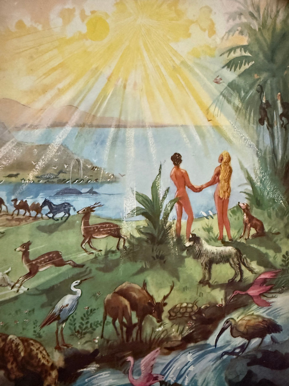 לצלול למרומים