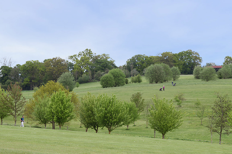 Ash Valley Golf Club Much Hadham, Hertfordshire Open to All