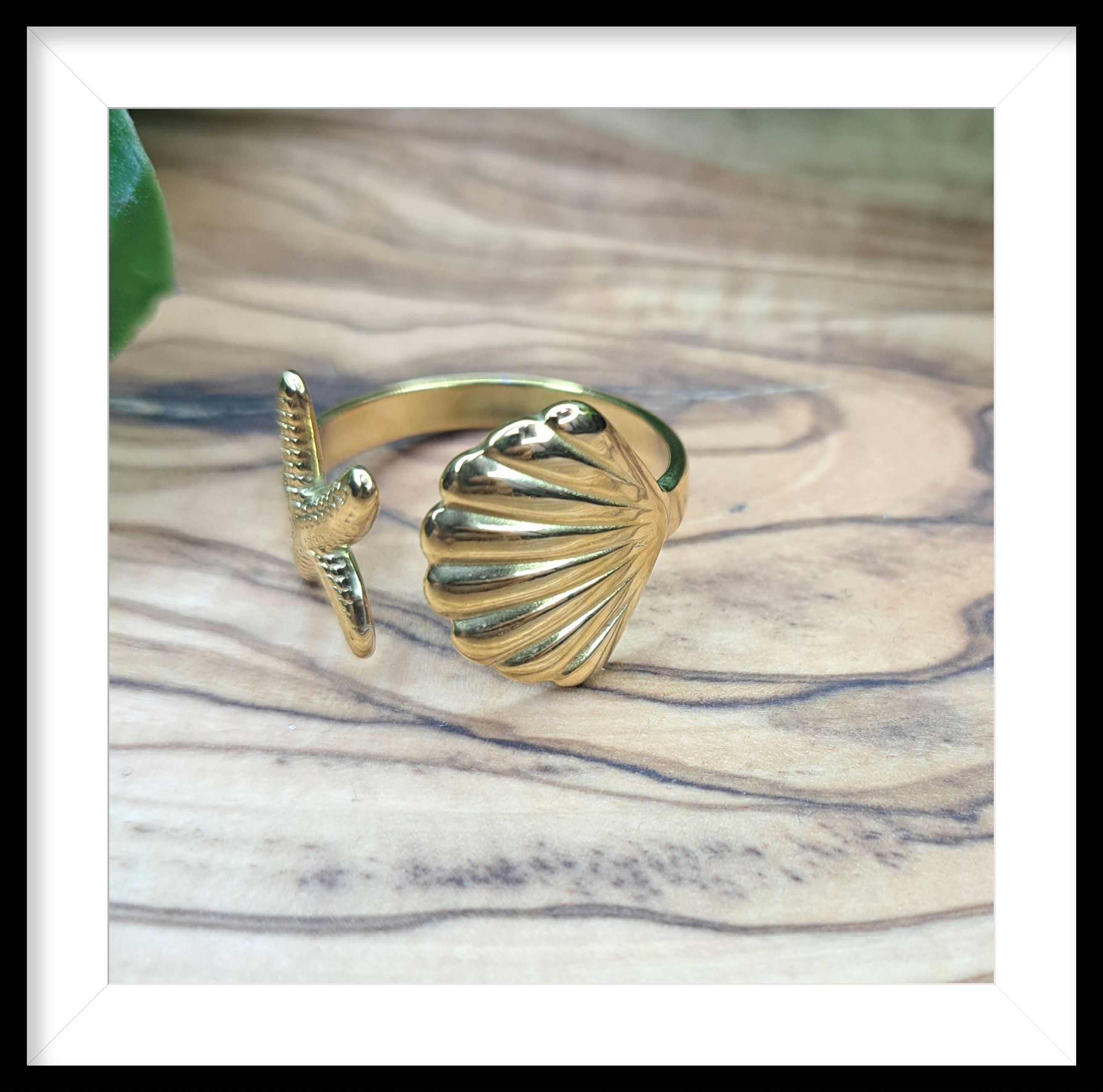 Ring schelpen stainless steel 