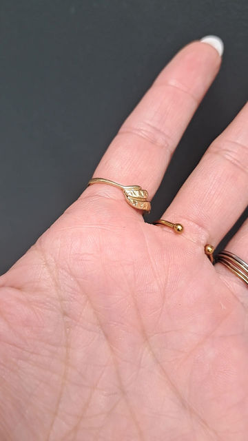 Thumbnail: Autumn ink ring oval