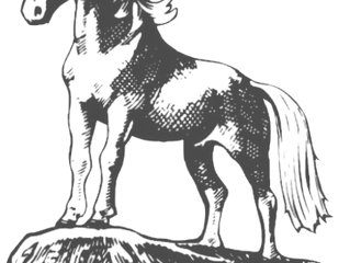 Vallfari Nyhetsbrev februari 2021