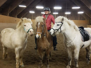 Presentation av styrelsemedlemmarna