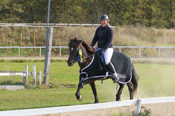 Distriktsmästare T5 3