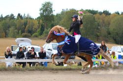 Distriktsmästare fyrgångskombination 2