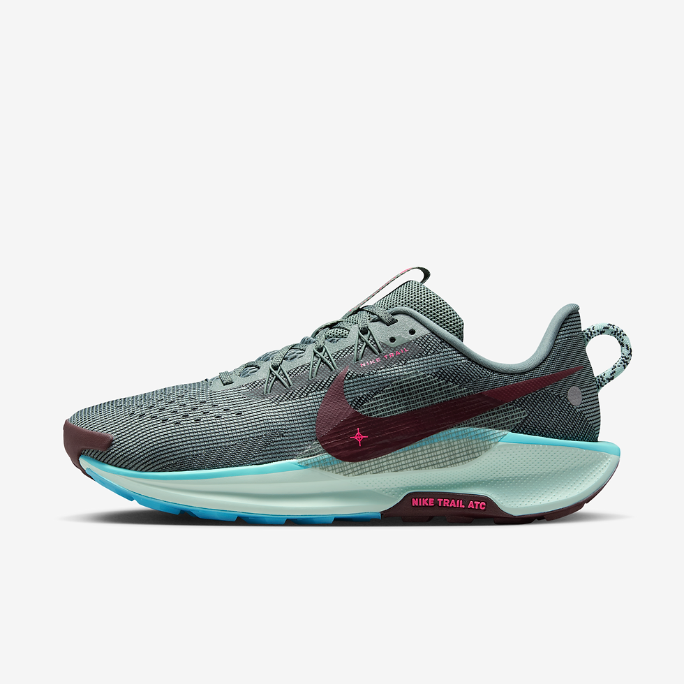 Tenis de trail running para hombre Nike Pegasus Trail 5 - Gris