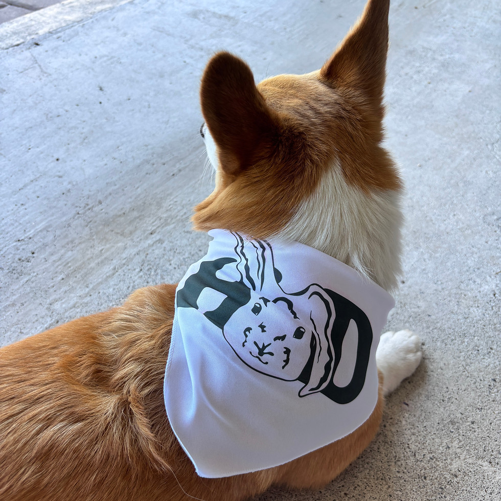Thumbnail: Honey Disposition Dog Bandana
