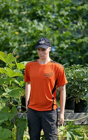 Concours nommez un employé 2.jpg