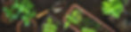 blogue-entete.jpg
