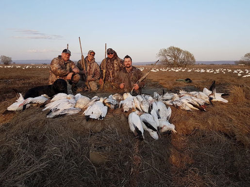 Une journée de chasse réussie !