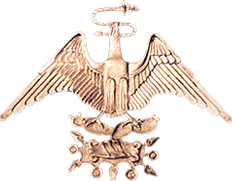 1 eagle_edited.png